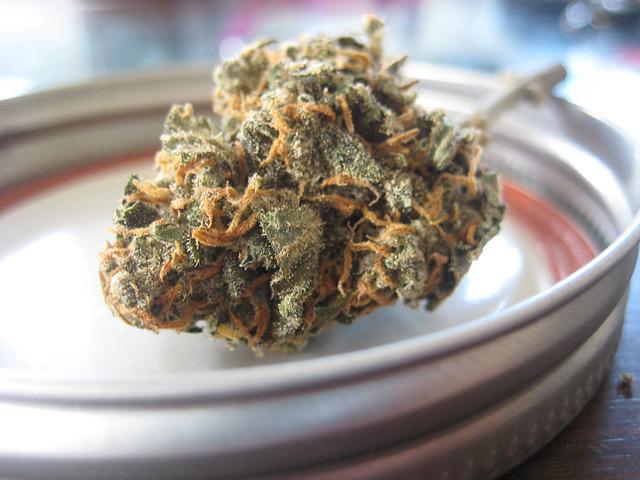 fleurs cbd