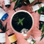 trouver le meilleur CBD