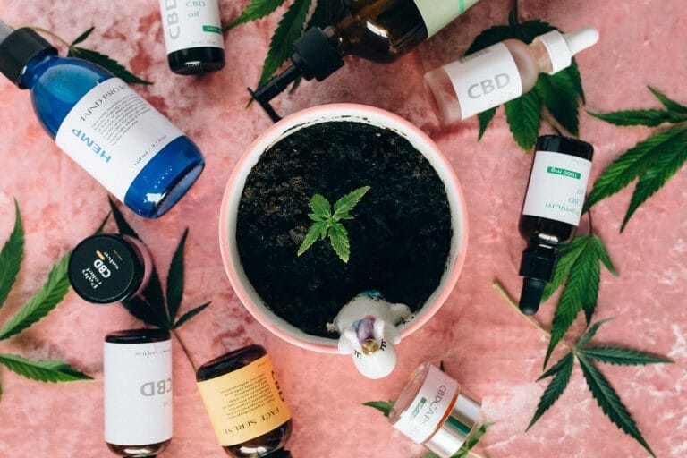 trouver le meilleur CBD